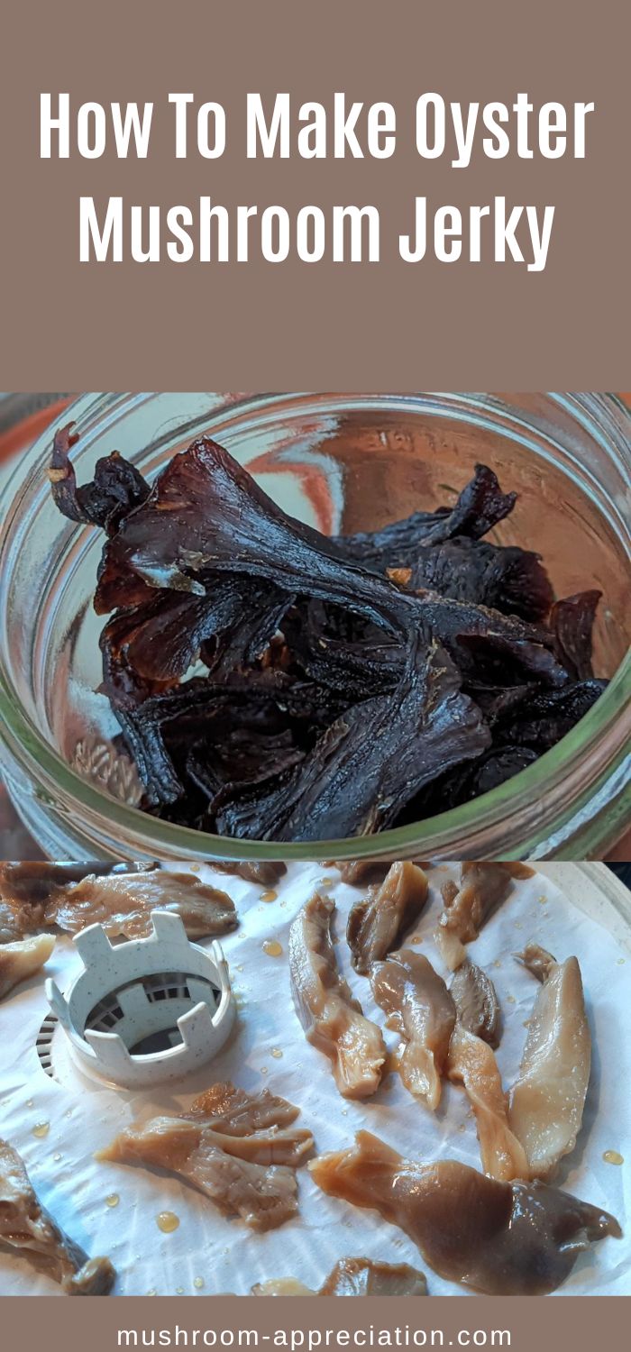 How To Make Oyster Mushroom Jerky Mushroom Appreciation