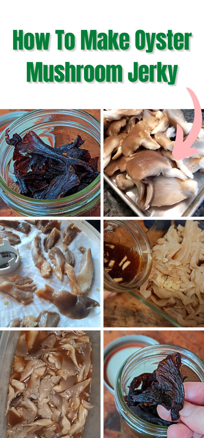 How To Make Oyster Mushroom Jerky Mushroom Appreciation