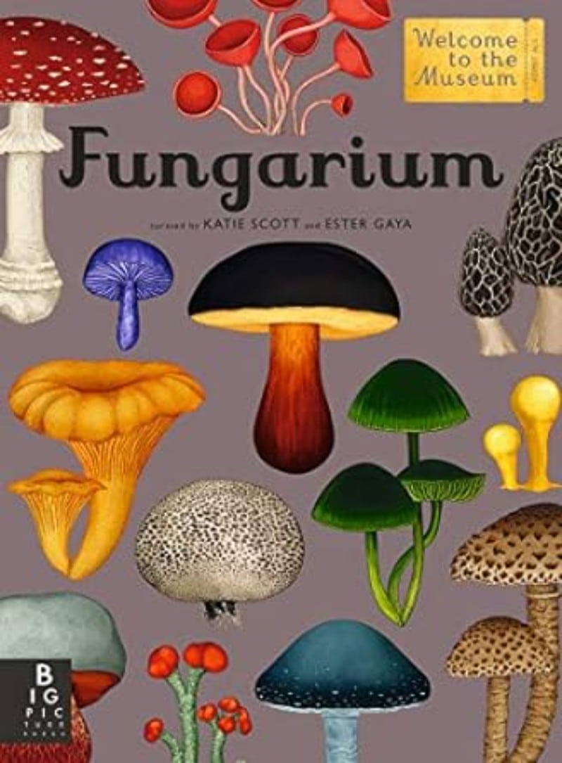 Fungarium: Welcome to the Museum by Katie Scott and Ester Gaya