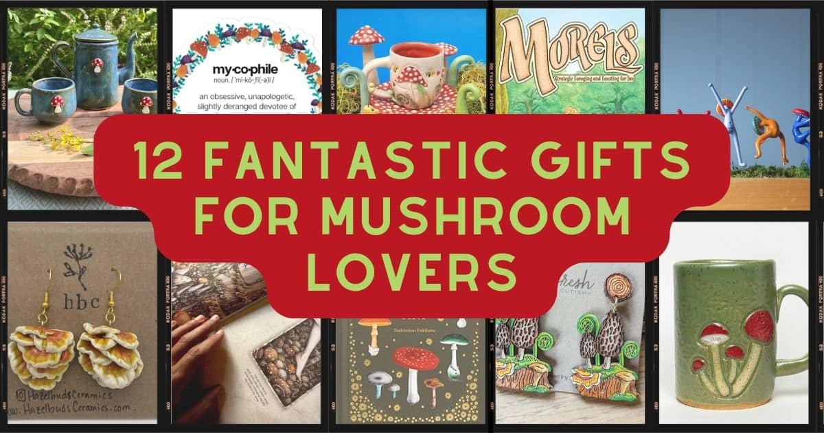 mushroom gifts for all the fungi fanatics