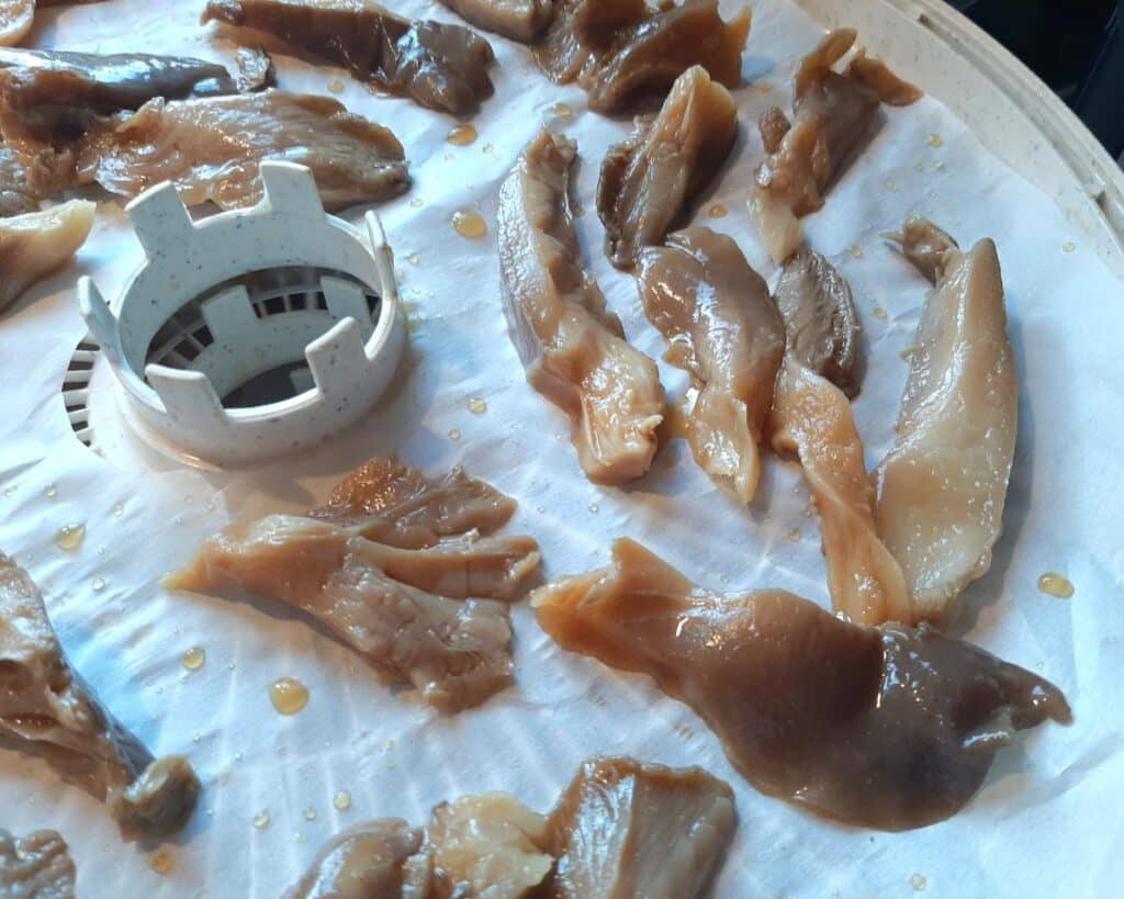How To Make Oyster Mushroom Jerky Mushroom Appreciation