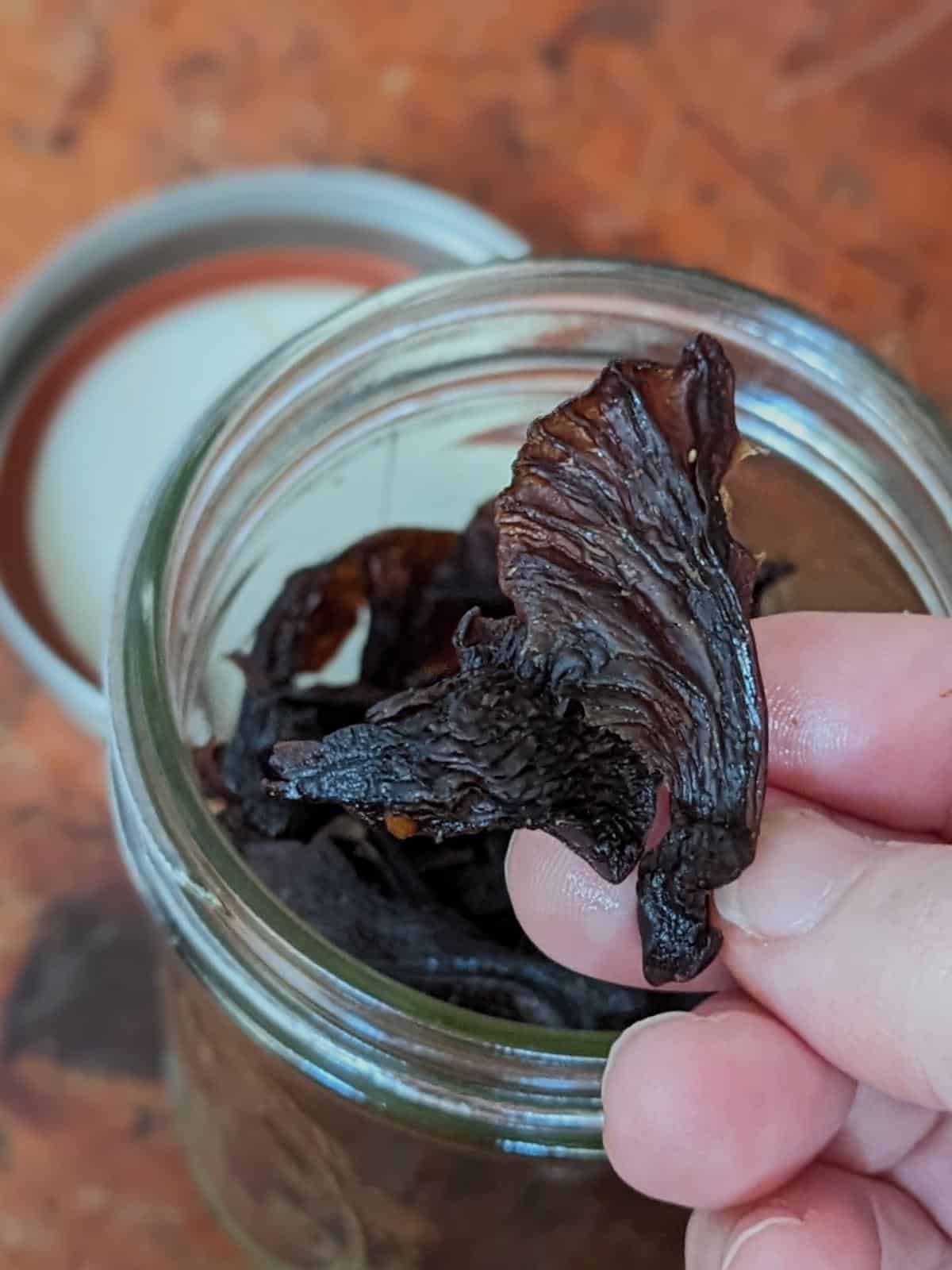 Homemade Mushroom Jerky (With a Dehydrator) (with a Dehydrator)