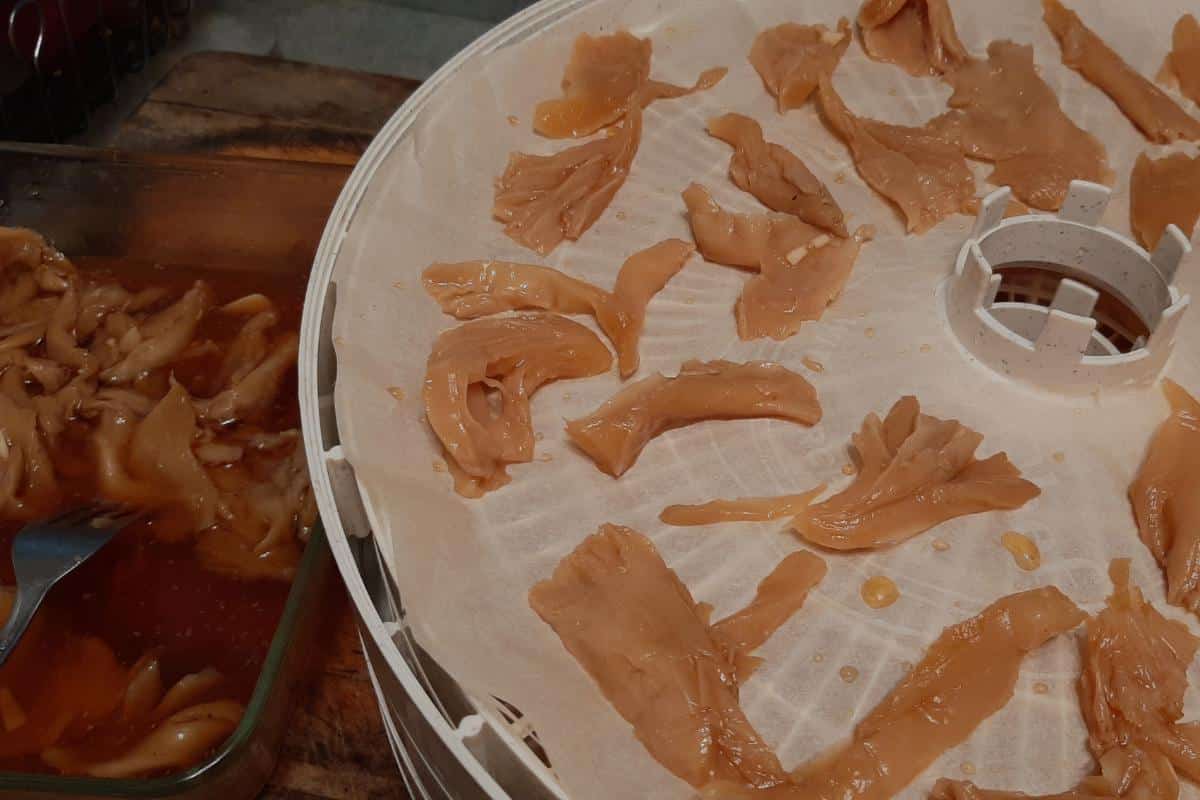 oyster mushroom jerky in dehydrator