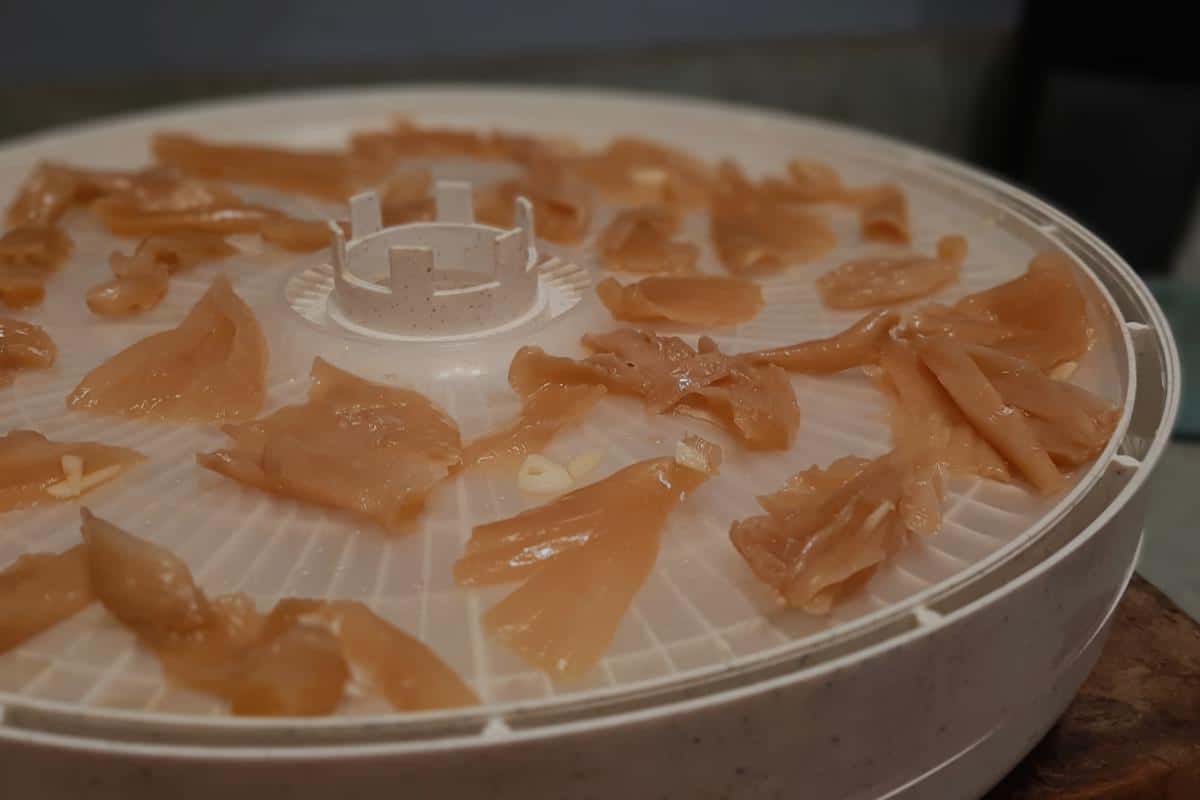 oyster mushroom dehydrator tray