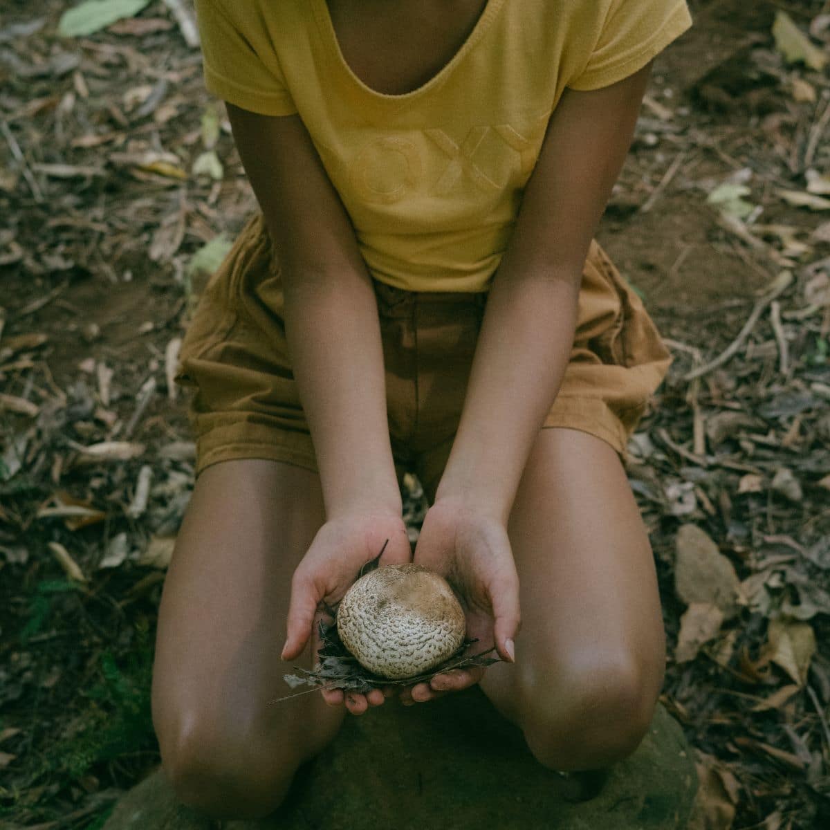 girl holding mushroom mushroom hunting with kids