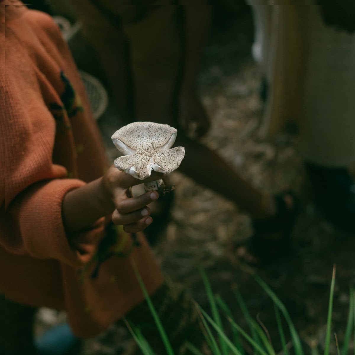 child holding mushroom