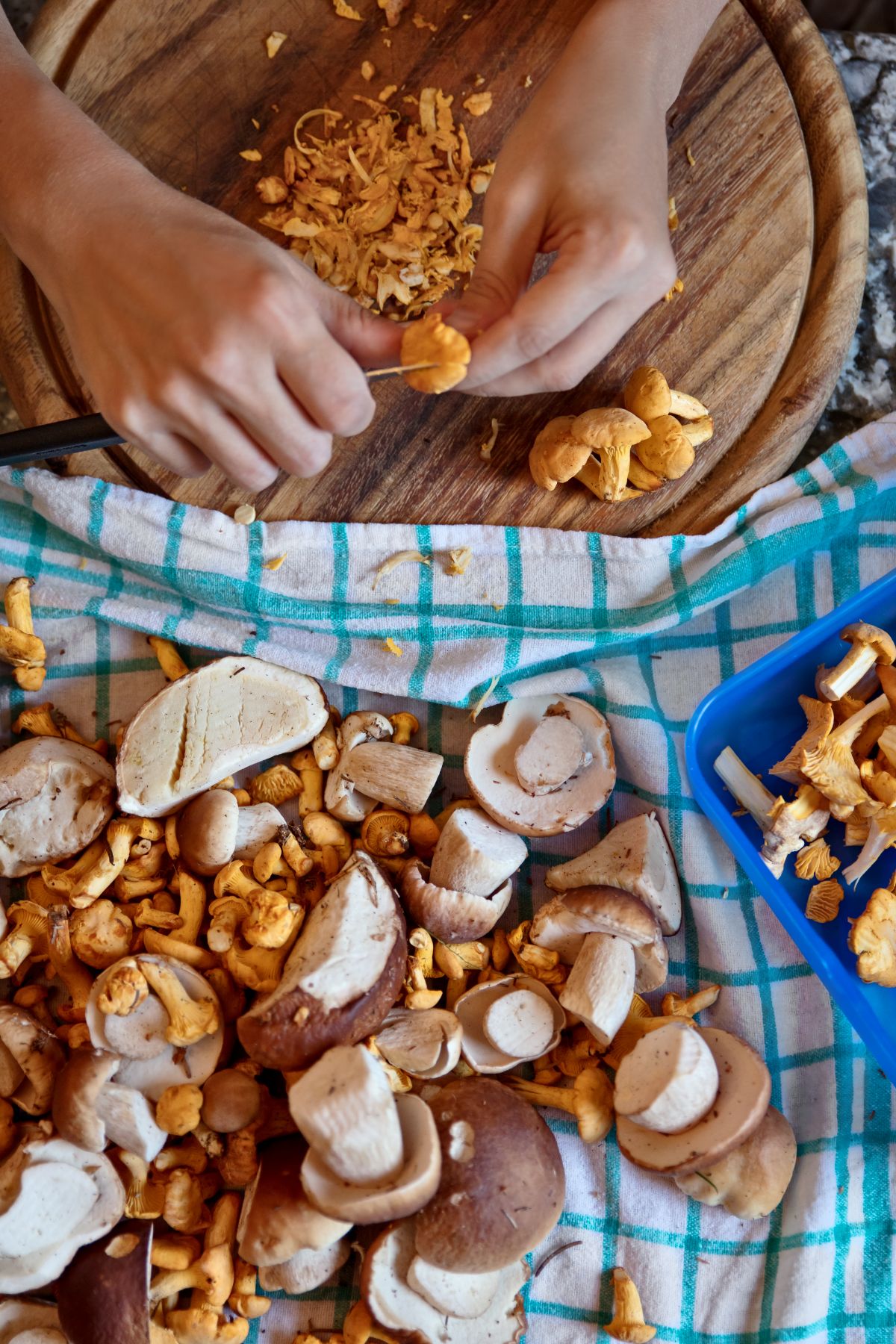 clean wild mushrooms