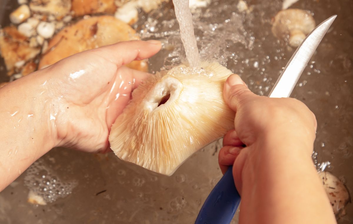 washing mushroms