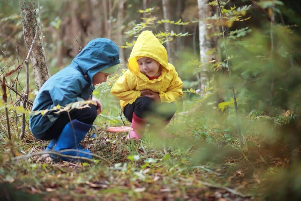 Mushroom Hunting With Kids: Adventure, Curiosity, and Creativity ...