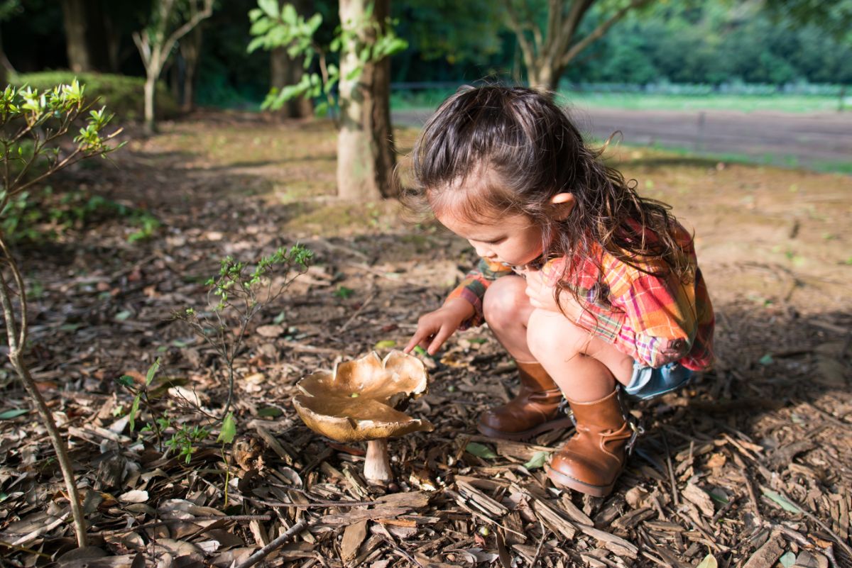 girl looking at mushroom