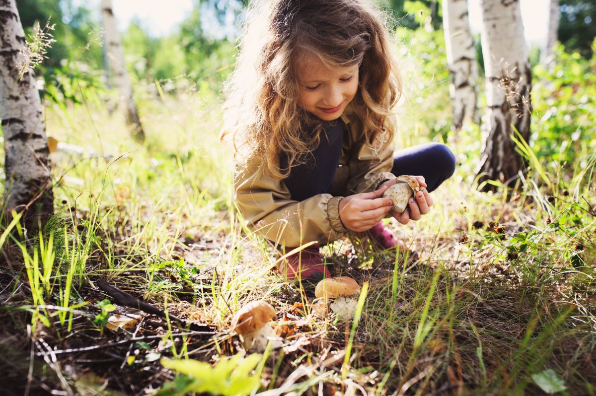 girl holding king boletes