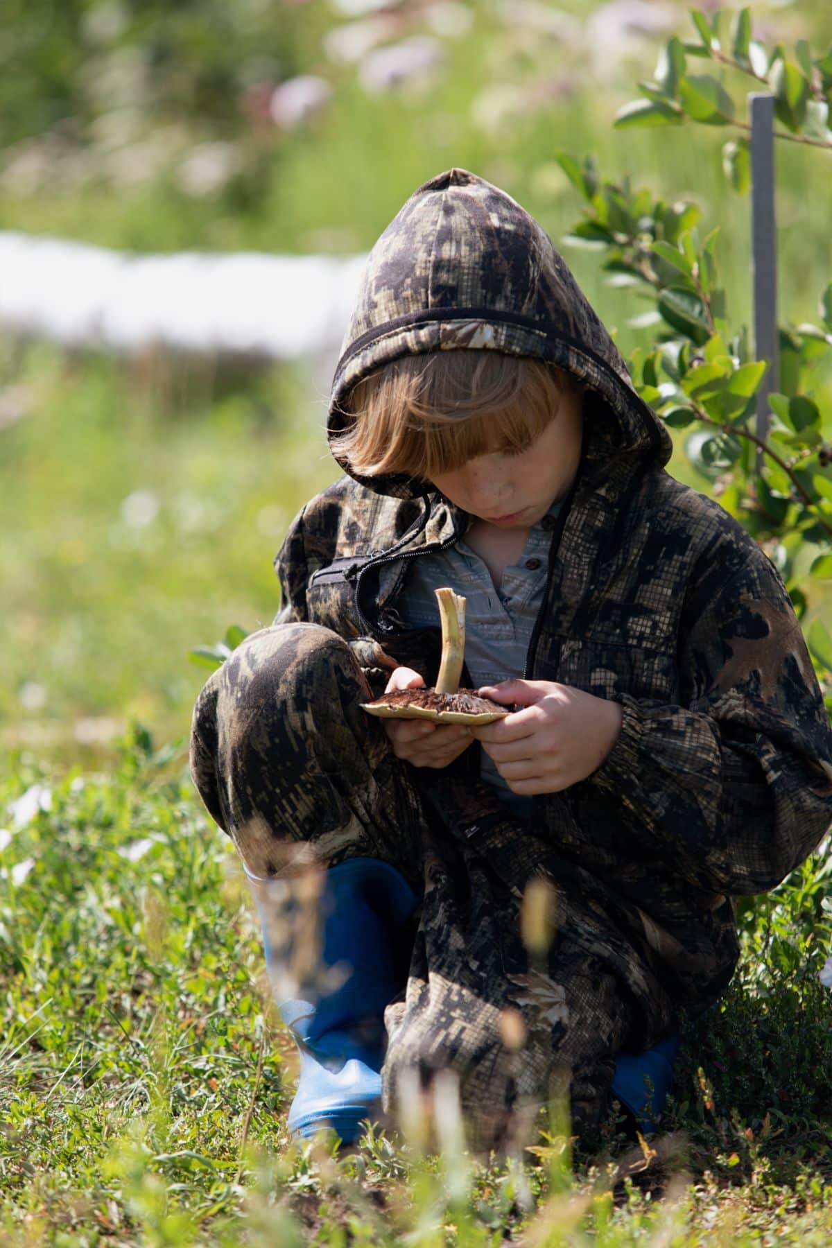 boy studying mushroom gills