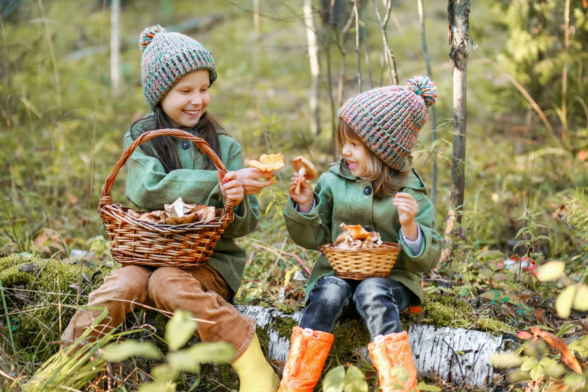 2 children foraging chanterelles, kids foraging
