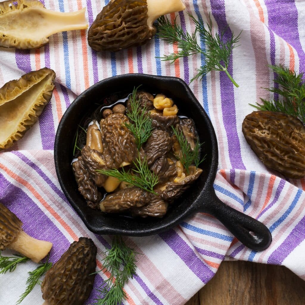 The Ultimate Guide To Cooking Morel Mushrooms - Mushroom Appreciation