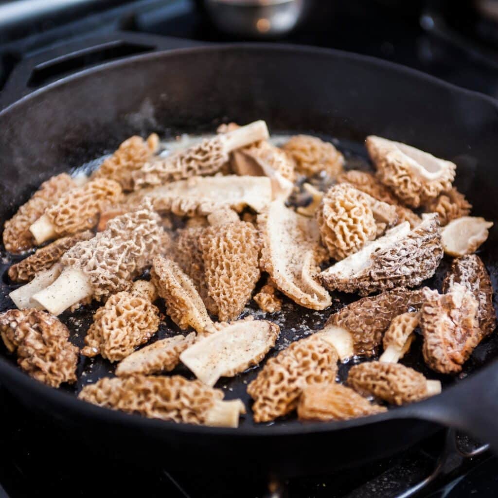 The Ultimate Guide To Cooking Morel Mushrooms - Mushroom Appreciation