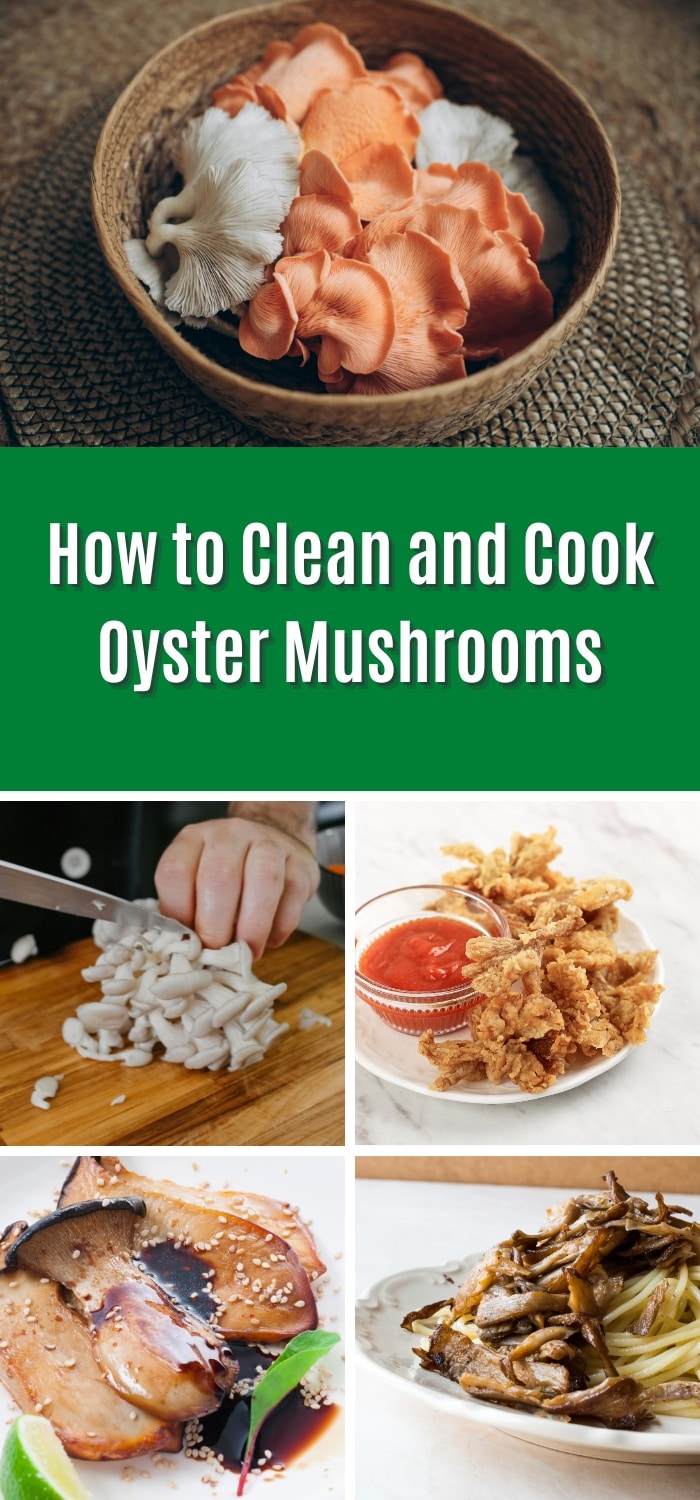 How to Clean and Cook Oyster Mushrooms Complete Oyster Mushroom