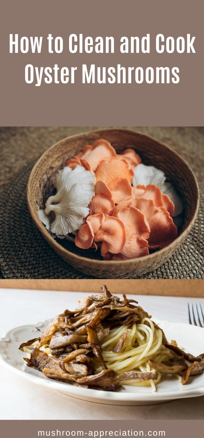 How to Clean and Cook Oyster Mushrooms Complete Oyster Mushroom
