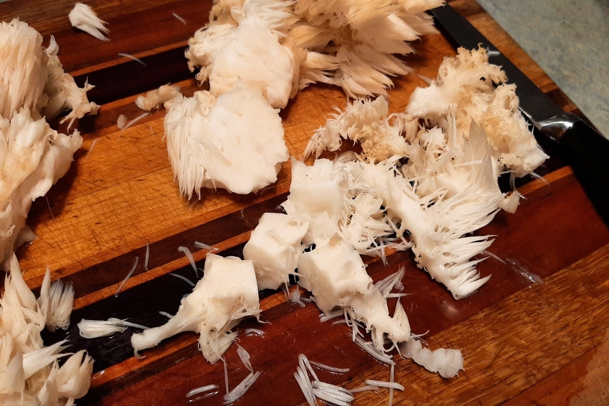 cooking with lions mane