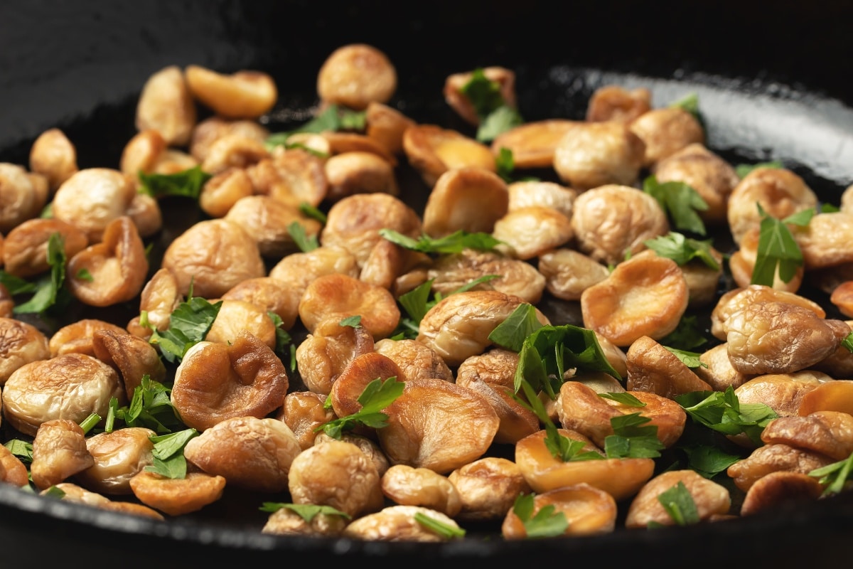 cooking puffball mushrooms