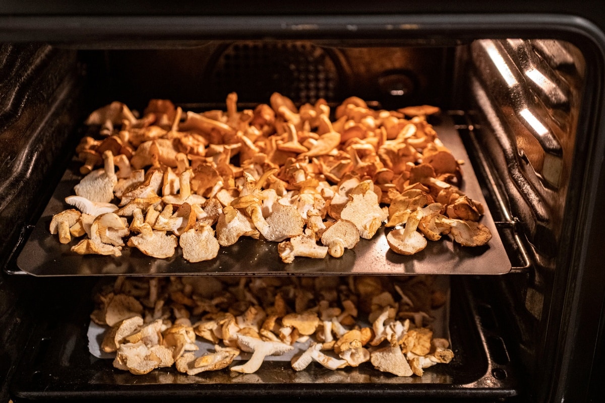 dehydrated hedgehog mushrooms