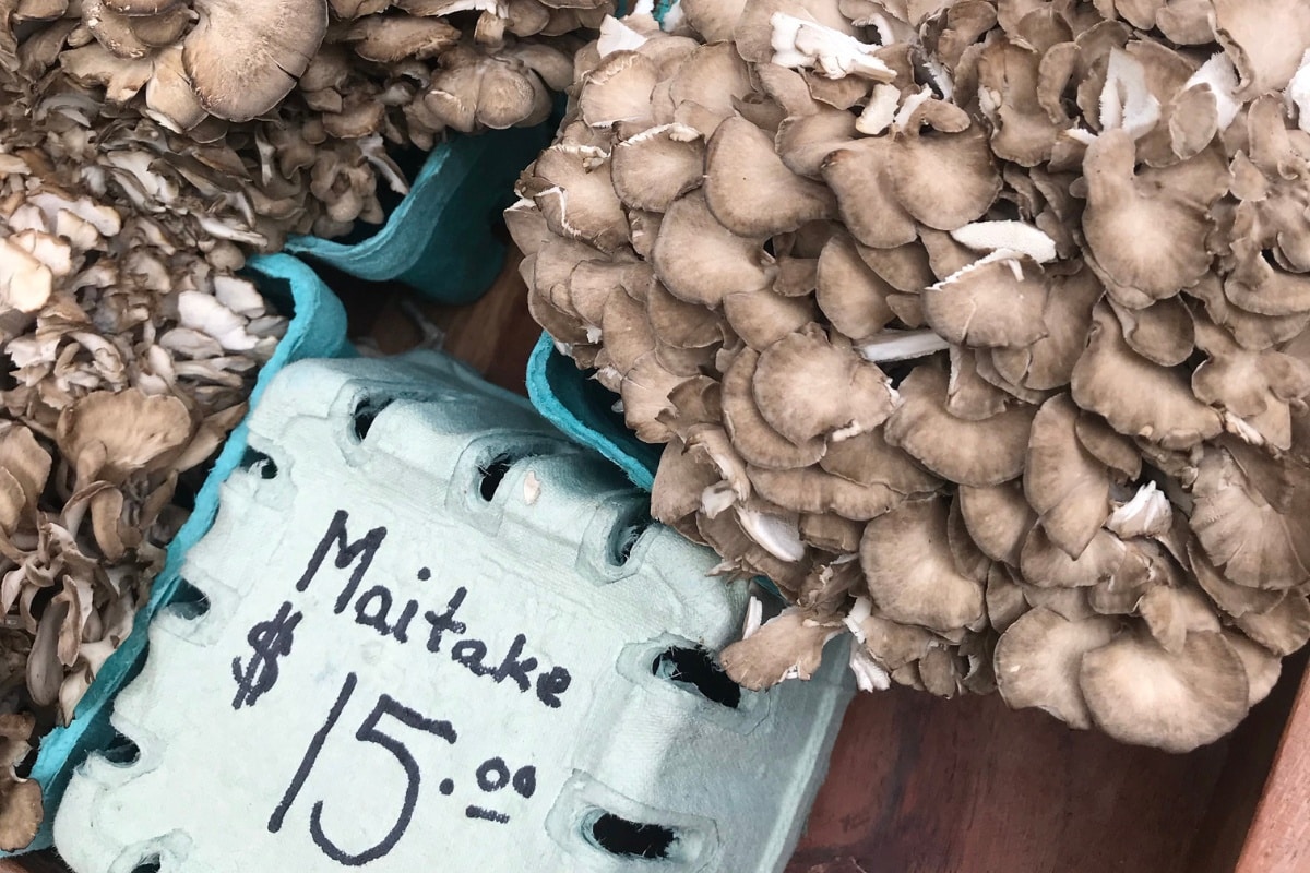hen of the woods for sale farmers market