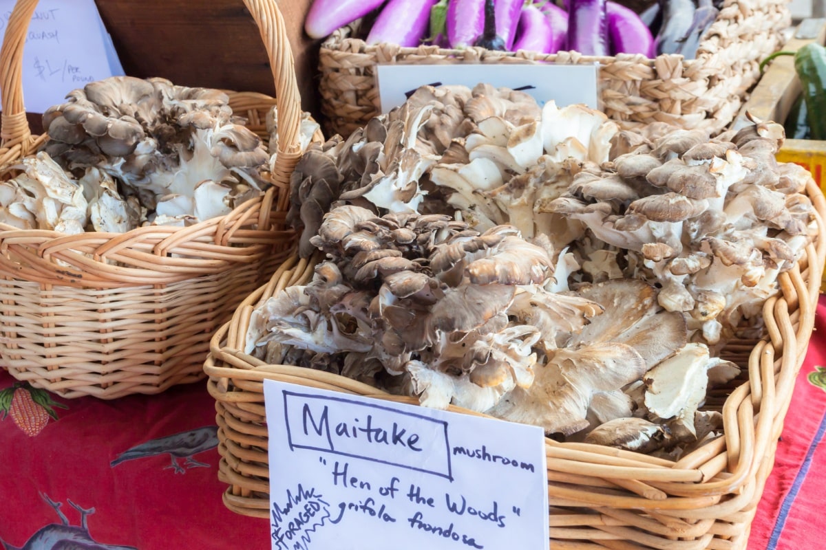 farmer's market hen of the woods for sale