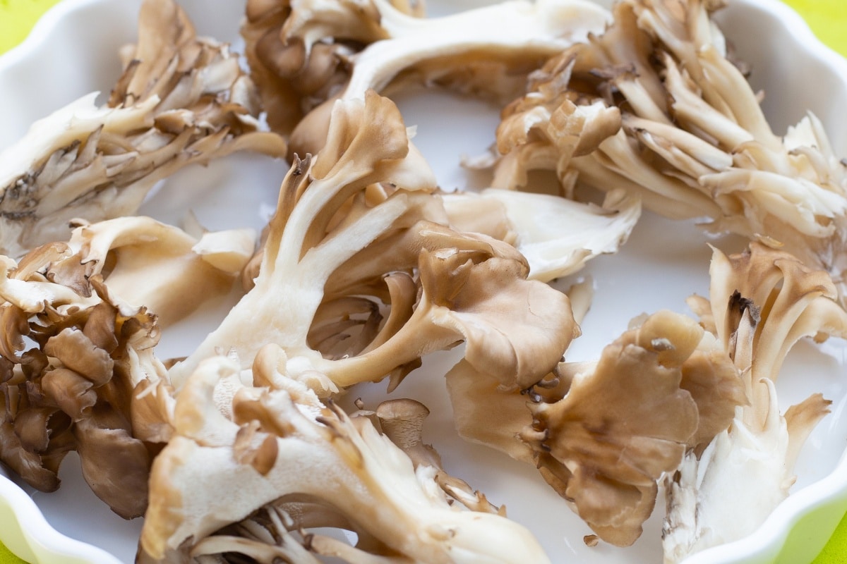 maitake mushroom pieces