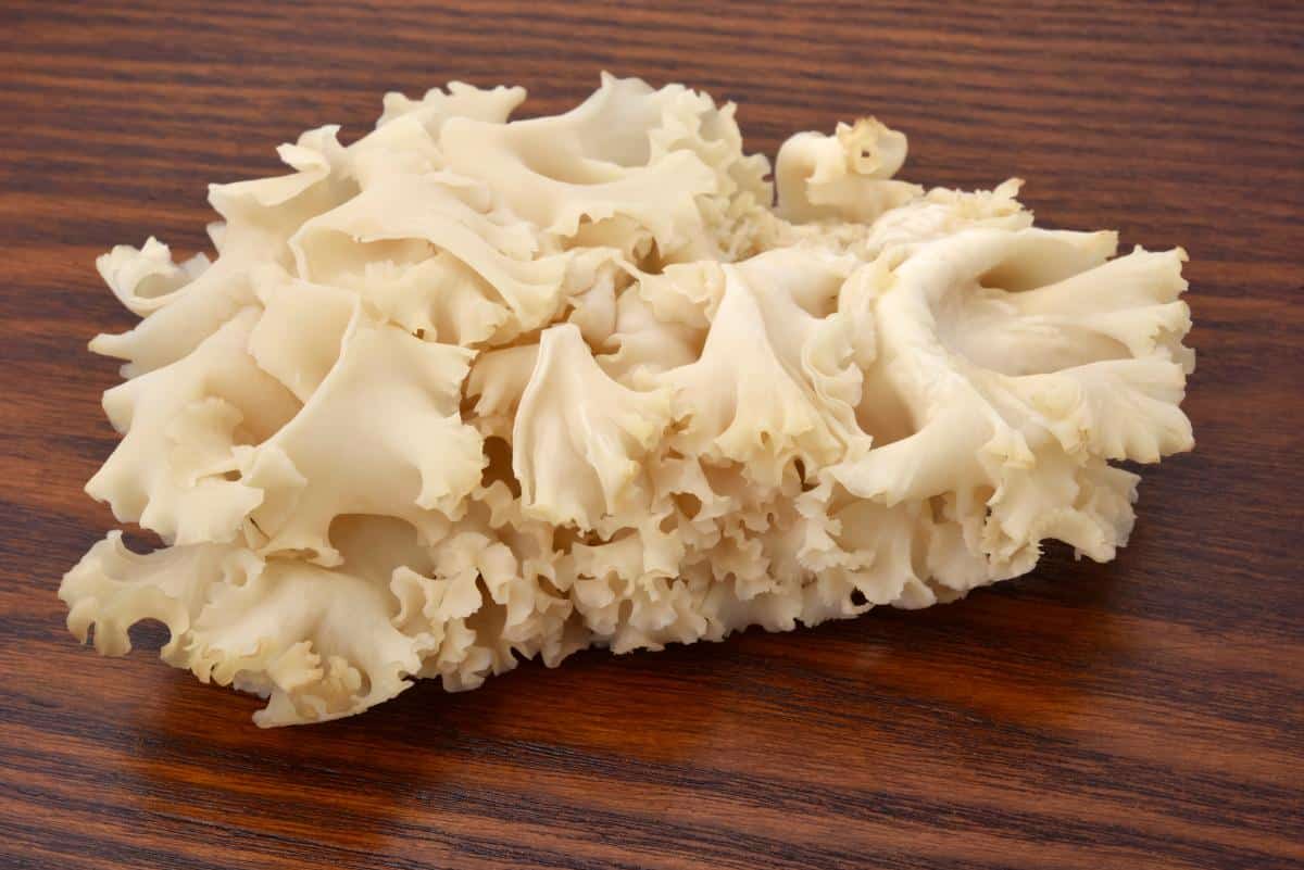 cooking cauliflower mushrooms