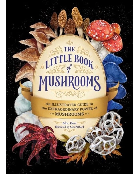 little book of mushrooms