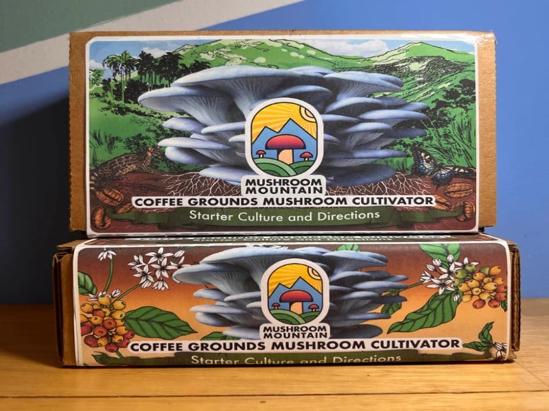 coffee cultivar mushroom gift