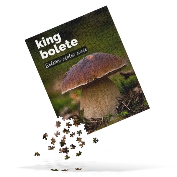 fungi puzzle mushroom gifts