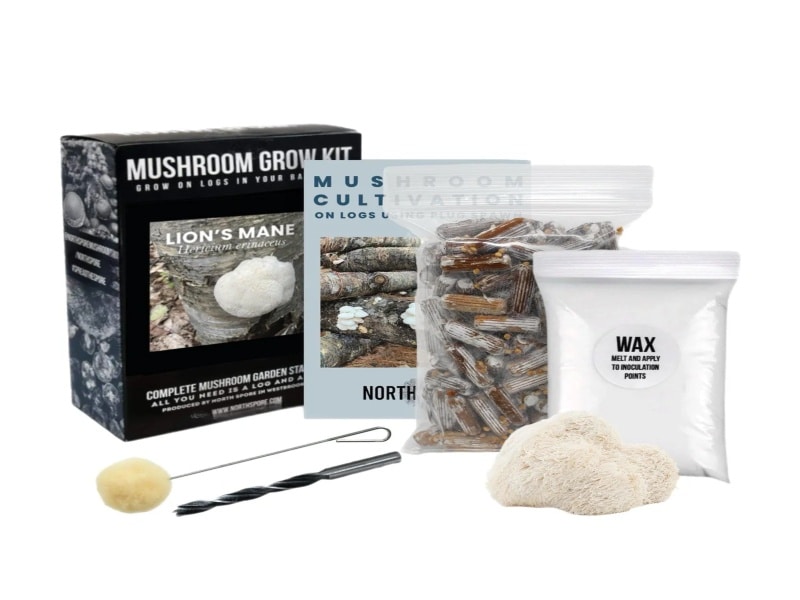 mushroom grow kit mushroom gift idea