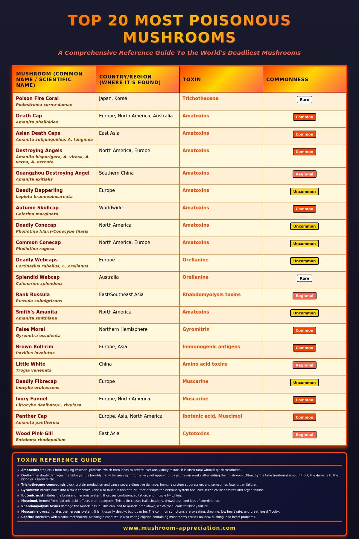 poisonous mushrooms ranking chart mushroom appreciation