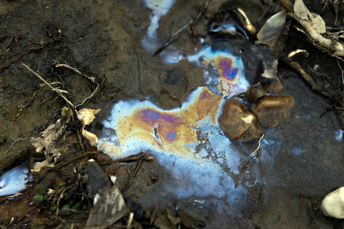 contaminated soil
