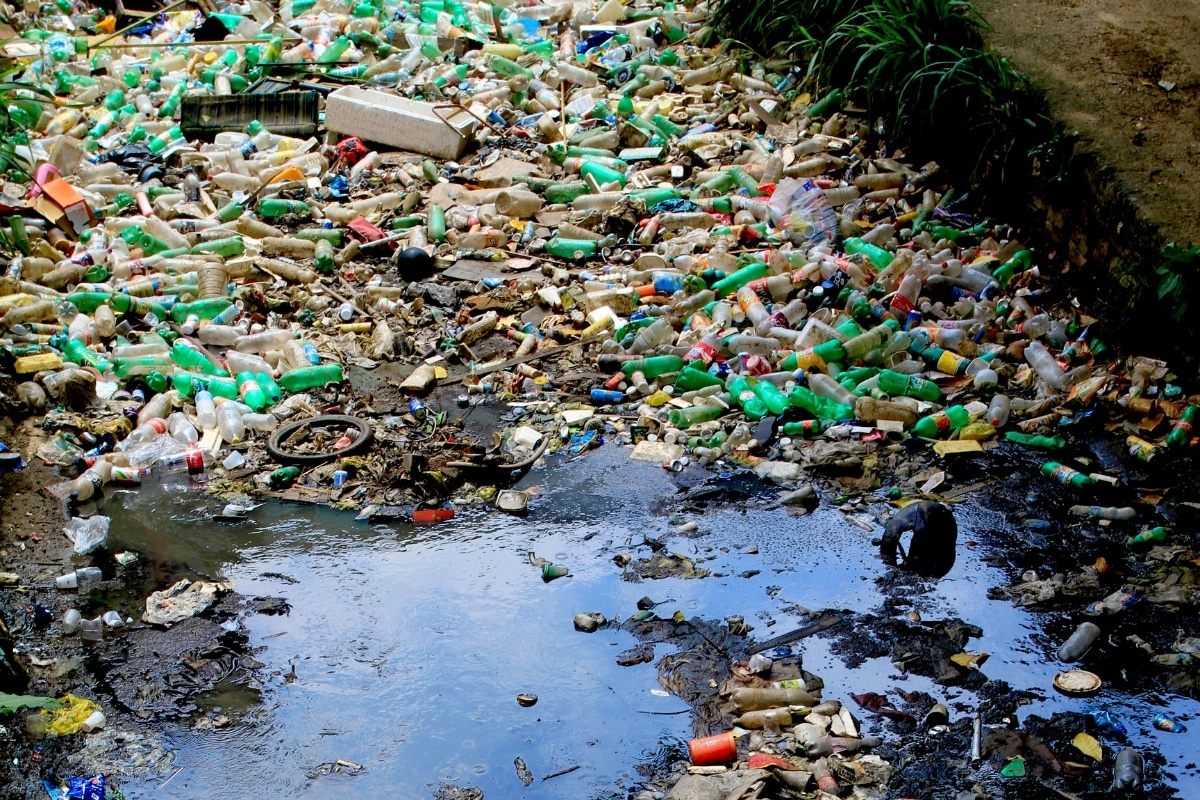 plastic pollution