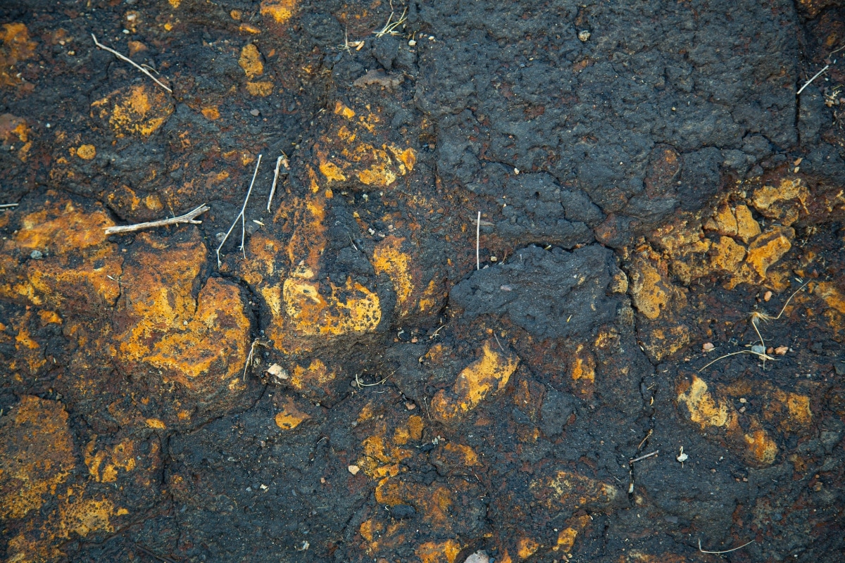 oil contaminated clay soil