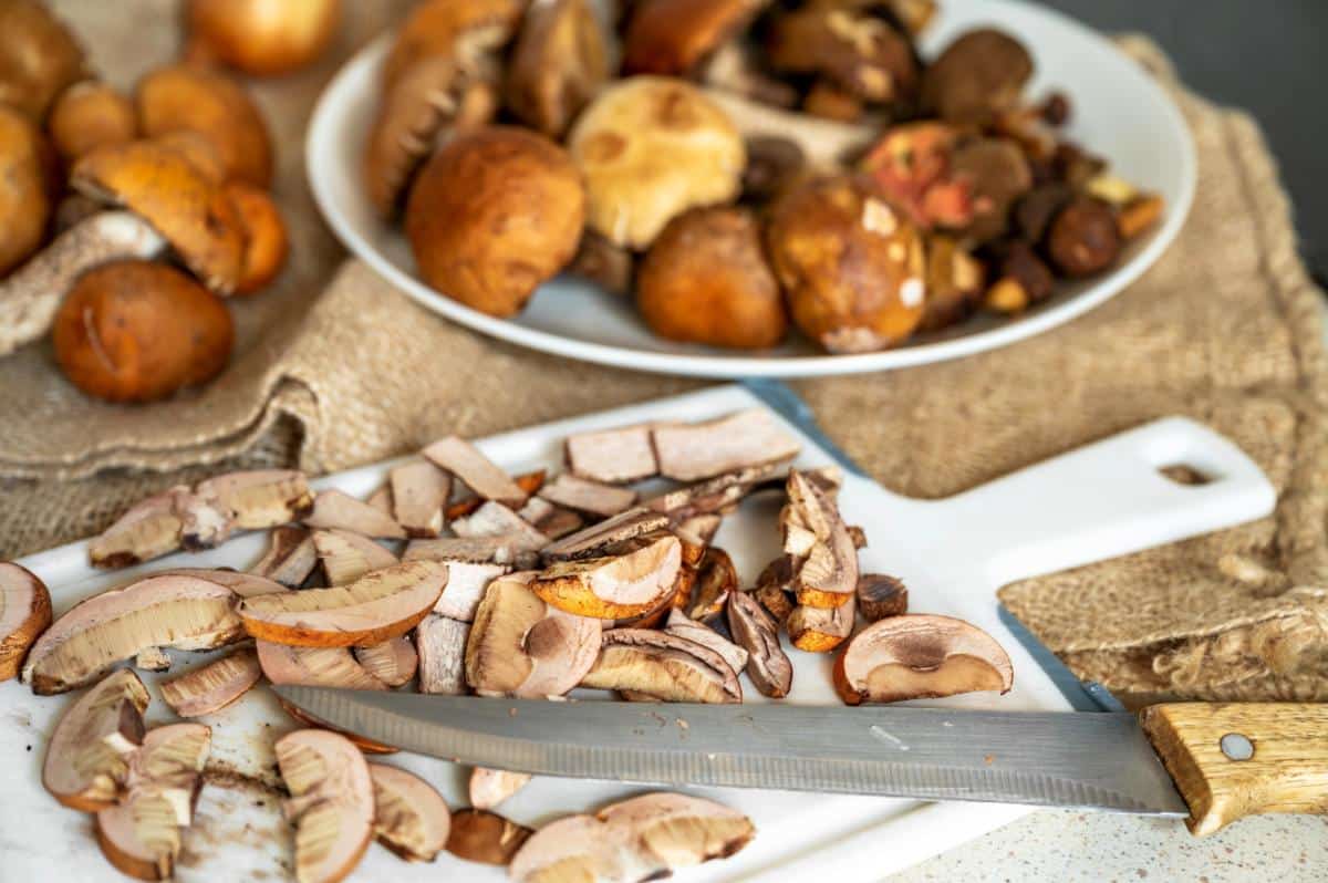 cut up scaber stalk mushrooms
