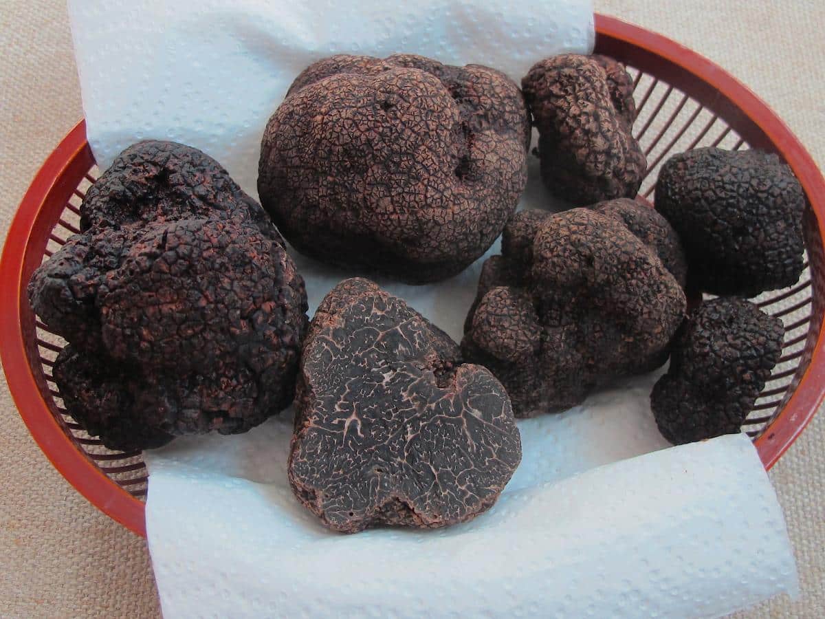truffles
