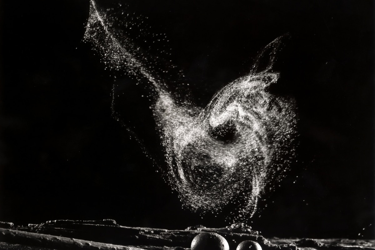 photo of mushroom spores