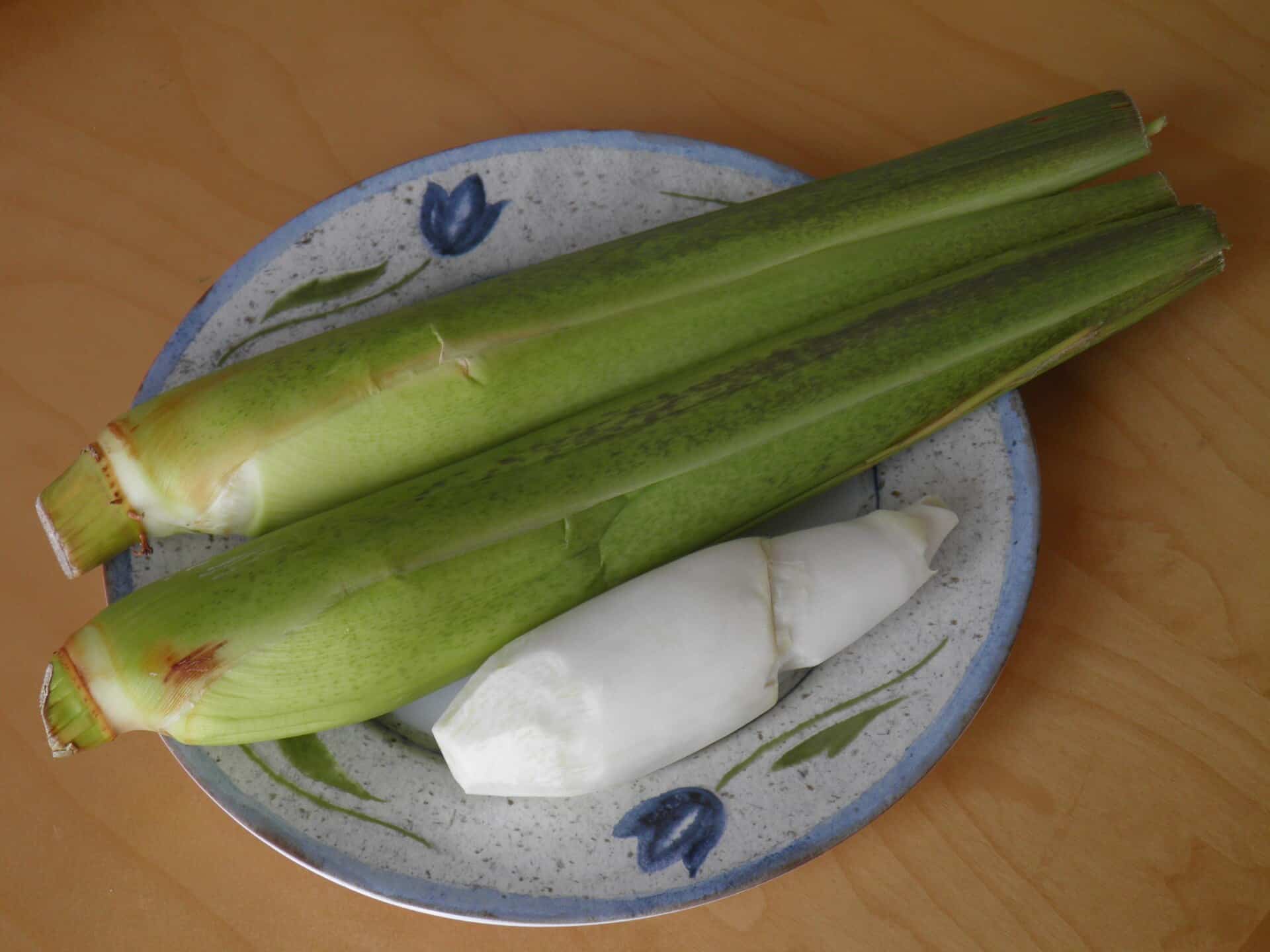 Chinese water bamboo (Ustilago esculenta)