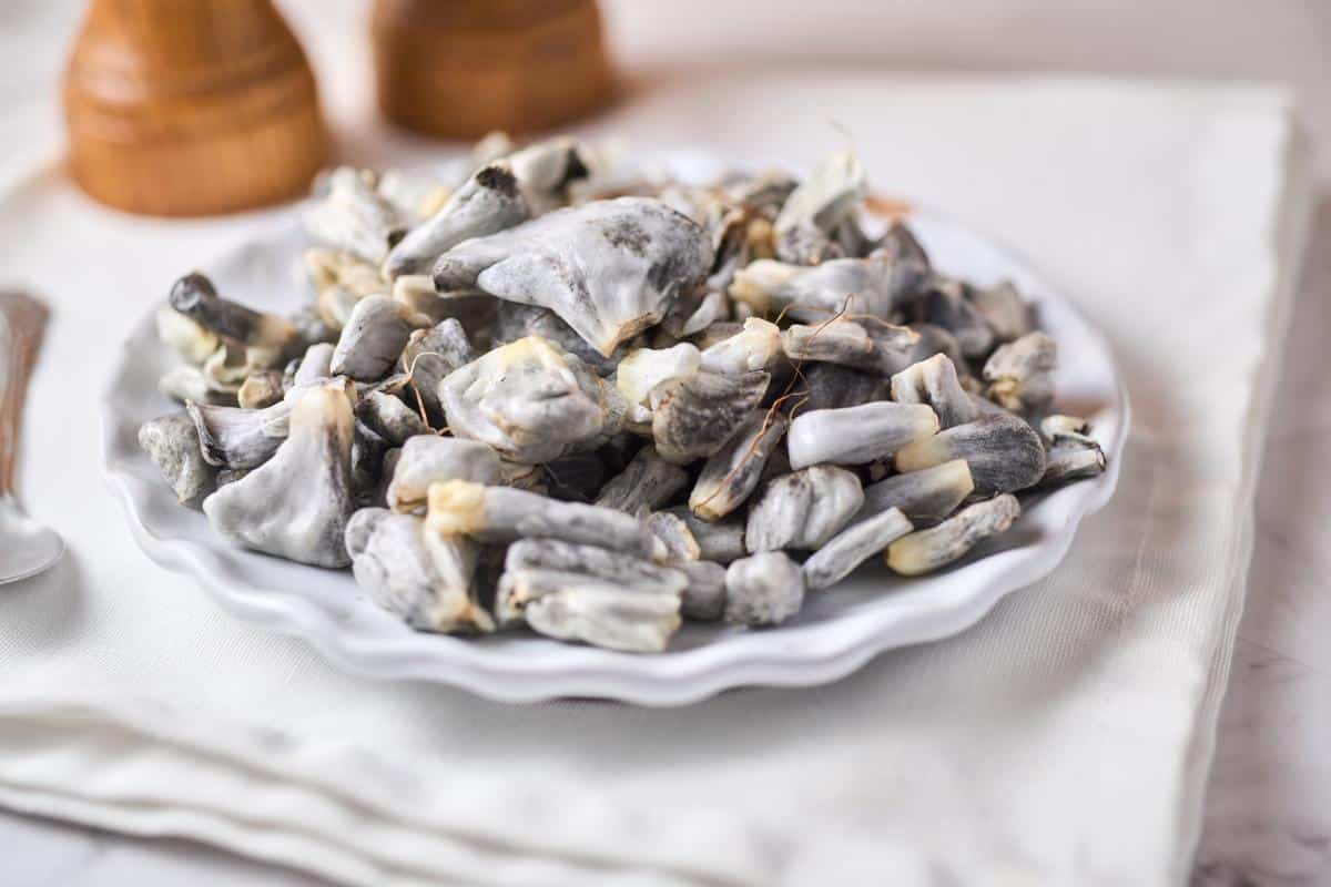 huitlacoche