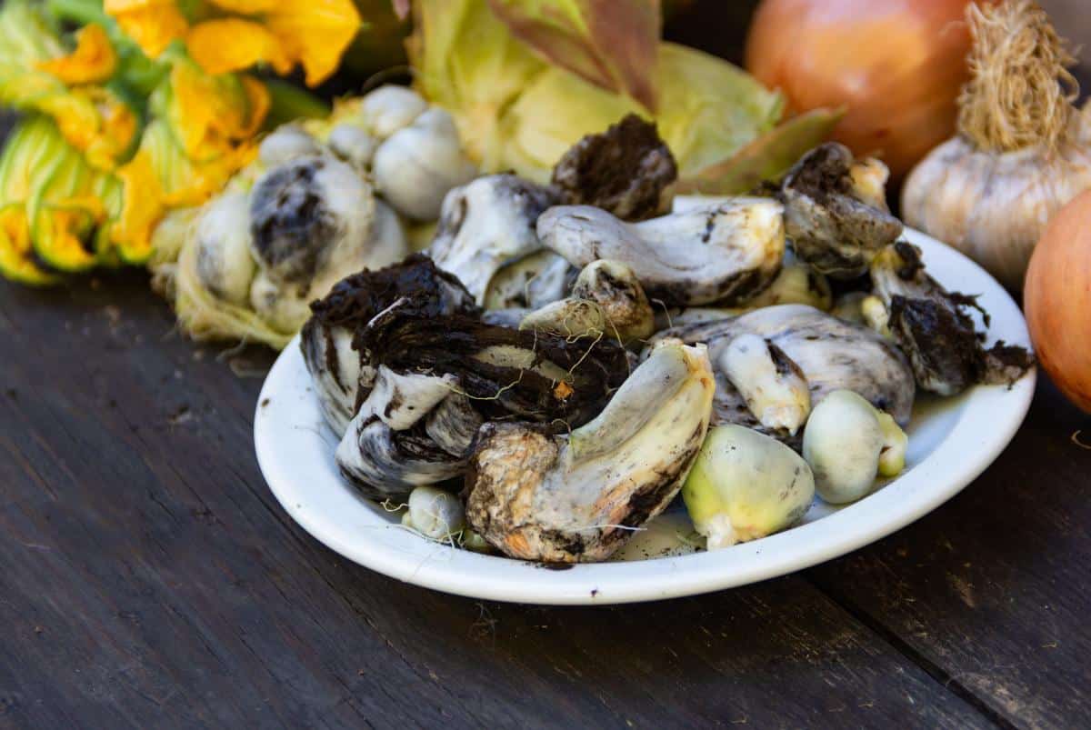 Mycosarcoma maydis, known as huitlacoche